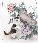 三花猫